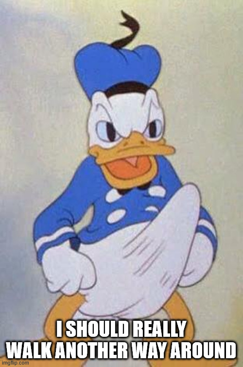 Horny Donald Duck | I SHOULD REALLY WALK ANOTHER WAY AROUND | image tagged in horny donald duck | made w/ Imgflip meme maker