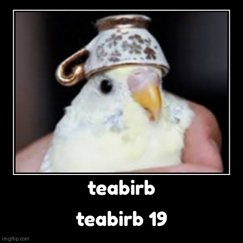 teabirb | teabirb 19 | image tagged in funny,demotivationals | made w/ Imgflip demotivational maker