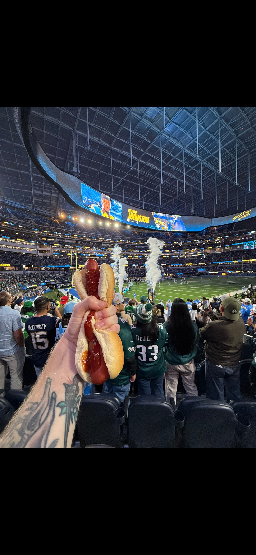 Holding up to my dog when Eagles loose Blank Meme Template