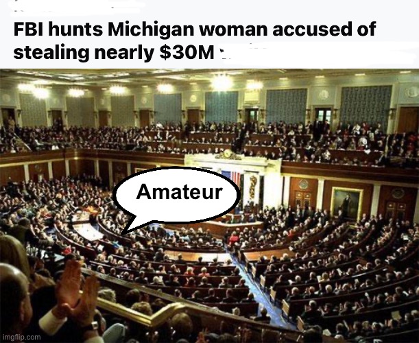 Crooks | Amateur | image tagged in congress,politics lol,memes | made w/ Imgflip meme maker