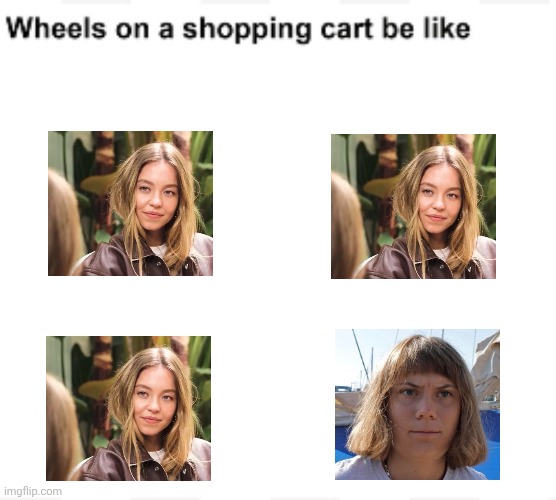 always the one i seem to get | image tagged in wheels on a shopping cart be like,political meme,sydney,greta thunberg | made w/ Imgflip meme maker