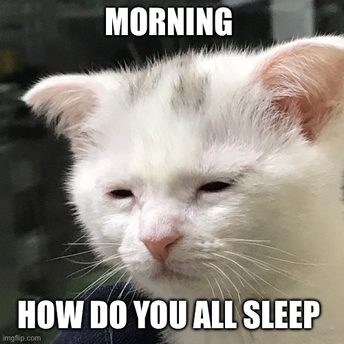 I'm awake, but at what cost? | MORNING; HOW DO YOU ALL SLEEP | image tagged in i'm awake but at what cost | made w/ Imgflip meme maker