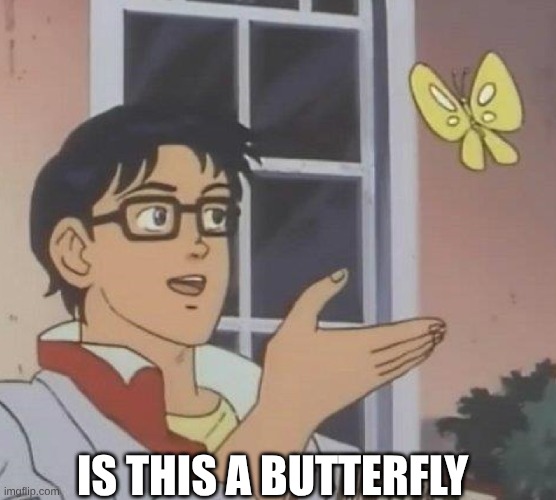 serious question | IS THIS A BUTTERFLY | image tagged in is this butterfly | made w/ Imgflip meme maker