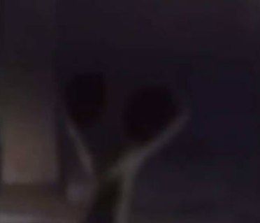 Mantis man Blank Meme Template