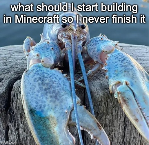The Blue Lobster | what should I start building in Minecraft so I never finish it | image tagged in the blue lobster | made w/ Imgflip meme maker