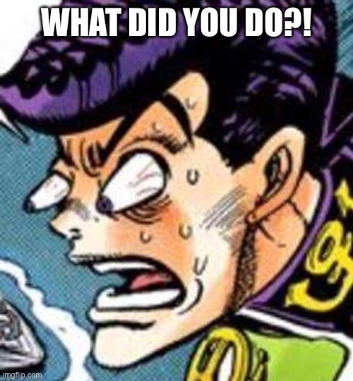 WHAT DID YOU DO | WHAT DID YOU DO?! | image tagged in what did you do | made w/ Imgflip meme maker