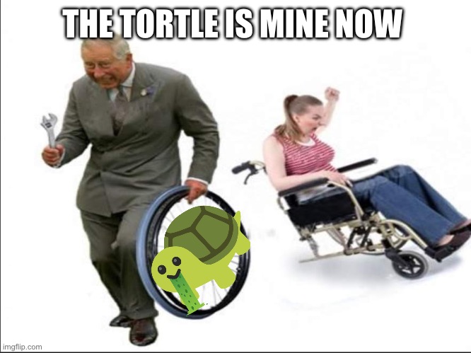 Stolen , bye | THE TORTLE IS MINE NOW | image tagged in stolen bye | made w/ Imgflip meme maker
