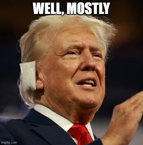 Trump With Ear Bandage | WELL, MOSTLY | image tagged in trump with ear bandage | made w/ Imgflip meme maker