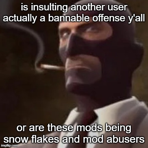 i wanna know so i can get someone to unban me | is insulting another user actually a bannable offense y'all; or are these mods being snow flakes and mod abusers | image tagged in tf2 spy | made w/ Imgflip meme maker