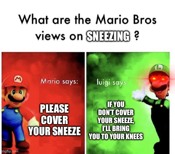 Please cover ur sneeze : ) | SNEEZING; PLEASE COVER YOUR SNEEZE; IF YOU DON’T COVER YOUR SNEEZE, I’LL BRING YOU TO YOUR KNEES | image tagged in mario bros views | made w/ Imgflip meme maker