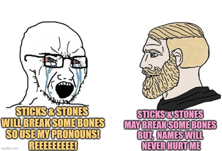 Controlled & Coerced Speech is NOT Free Speech. A Power Grab to Kill the Constitution; | STICKS & STONES 
MAY BREAK SOME BONES 
BUT,  NAMES WILL 
NEVER HURT ME; STICKS & STONES 
WILL BREAK SOME BONES
SO USE MY PRONOUNS!
REEEEEEEEE! | image tagged in soyboy vs yes chad,first amendment,free speech,power,pronouns sheet,lgbtq | made w/ Imgflip meme maker