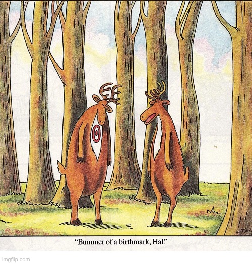 A little white paint would cover that up nicely… | image tagged in the far side,comics,deer,birthmark,unfortunate | made w/ Imgflip meme maker