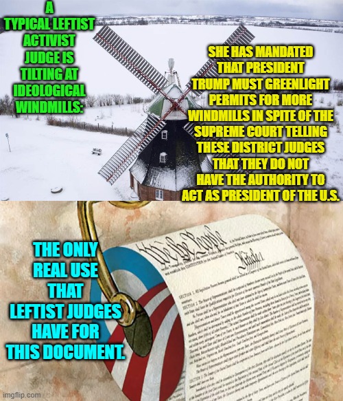 No surprise.  Move along. | A TYPICAL LEFTIST ACTIVIST JUDGE IS TILTING AT IDEOLOGICAL WINDMILLS:; SHE HAS MANDATED THAT PRESIDENT TRUMP MUST GREENLIGHT PERMITS FOR MORE WINDMILLS IN SPITE OF THE SUPREME COURT TELLING THESE DISTRICT JUDGES THAT THEY DO NOT HAVE THE AUTHORITY TO ACT AS PRESIDENT OF THE U.S. THE ONLY REAL USE THAT LEFTIST JUDGES HAVE FOR THIS DOCUMENT. | image tagged in yep | made w/ Imgflip meme maker