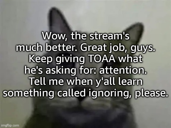 I don't even need a tone tag for this. | Wow, the stream's much better. Great job, guys. Keep giving TOAA what he's asking for: attention. Tell me when y'all learn something called ignoring, please. | image tagged in yo got games on yo phone,ralsei of topic | made w/ Imgflip meme maker