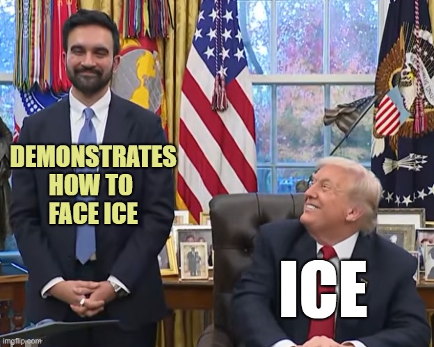 DEMONSTRATES
HOW TO 
FACE ICE ICE | image tagged in trump mamdani | made w/ Imgflip meme maker