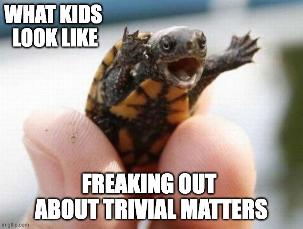 Adorbs | WHAT KIDS 
LOOK LIKE; FREAKING OUT 
ABOUT TRIVIAL MATTERS | image tagged in happy baby turtle | made w/ Imgflip meme maker