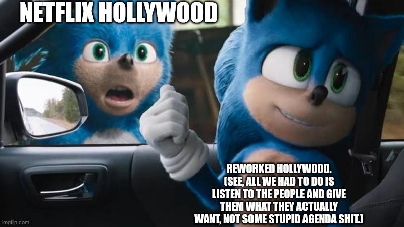 Sonic Movie Old vs New | NETFLIX HOLLYWOOD REWORKED HOLLYWOOD.
(SEE, ALL WE HAD TO DO IS LISTEN TO THE PEOPLE AND GIVE THEM WHAT THEY ACTUALLY WANT, NOT SOME STUPID  | image tagged in sonic movie old vs new | made w/ Imgflip meme maker
