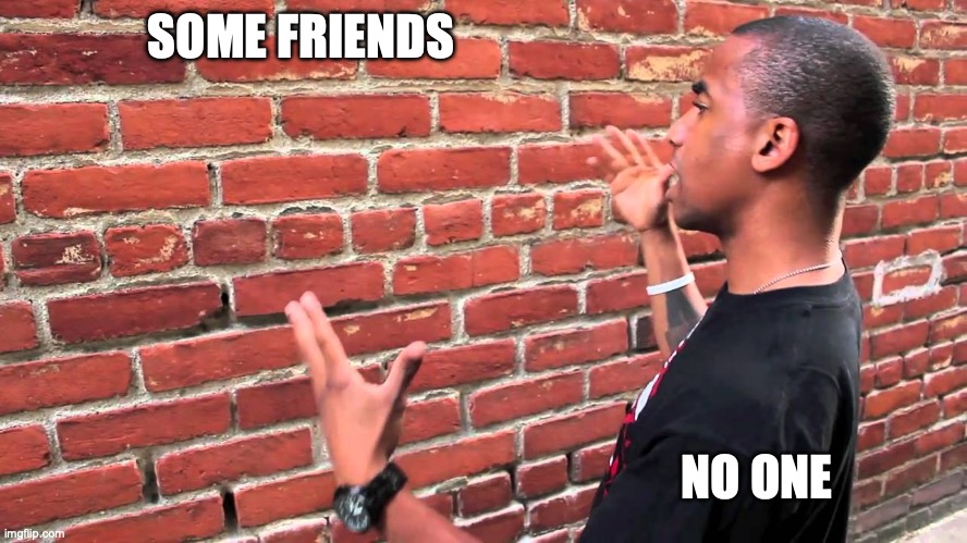 friends | SOME FRIENDS; NO ONE | image tagged in talking to wall,funny memes | made w/ Imgflip meme maker