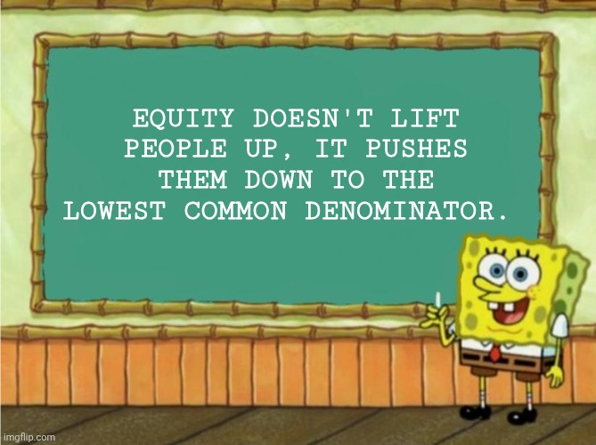 It's simple math | EQUITY DOESN'T LIFT PEOPLE UP, IT PUSHES THEM DOWN TO THE LOWEST COMMON DENOMINATOR. | image tagged in today's lesson,politics,memes,equity is slavery | made w/ Imgflip meme maker