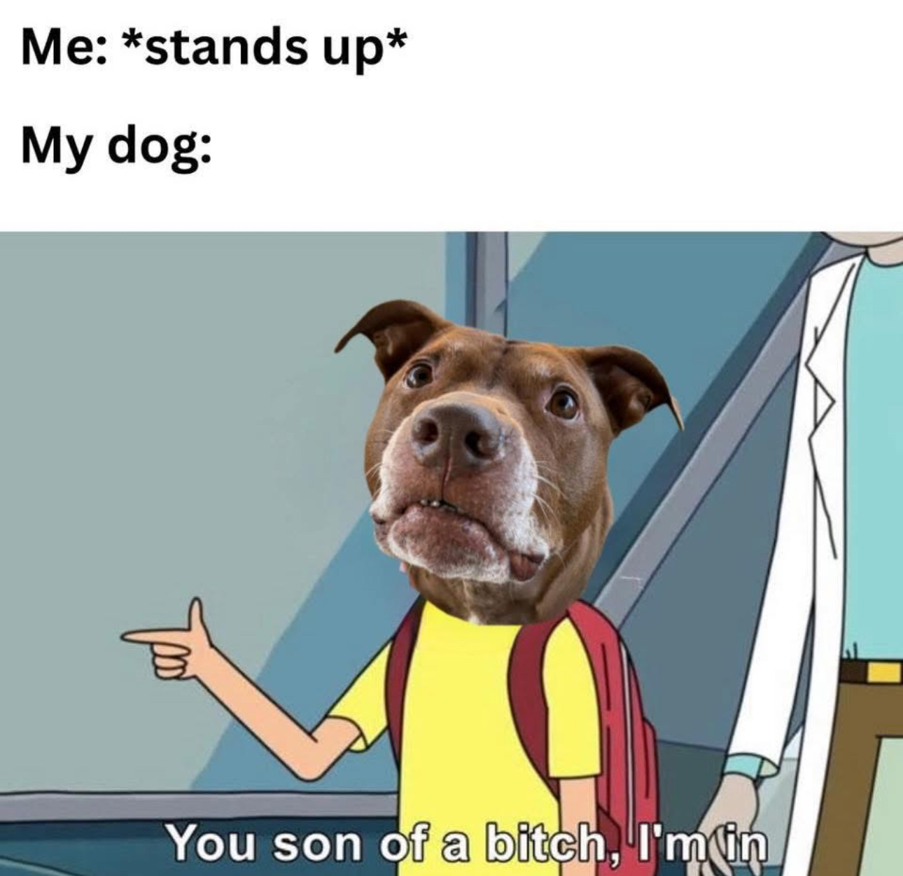 Winter I’m in Blank Meme Template