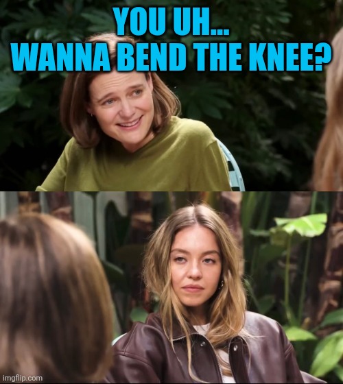 No | YOU UH... WANNA BEND THE KNEE? | image tagged in sydney sweeney jeans | made w/ Imgflip meme maker