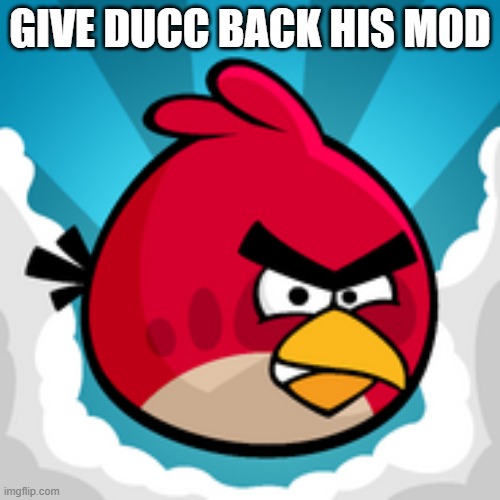 Angy Birbs | GIVE DUCC BACK HIS MOD | image tagged in angy birbs | made w/ Imgflip meme maker