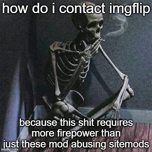 i need more than just sitemods, i need the big boss | how do i contact imgflip; because this shit requires more firepower than just these mod abusing sitemods | image tagged in skeleton smoke | made w/ Imgflip meme maker