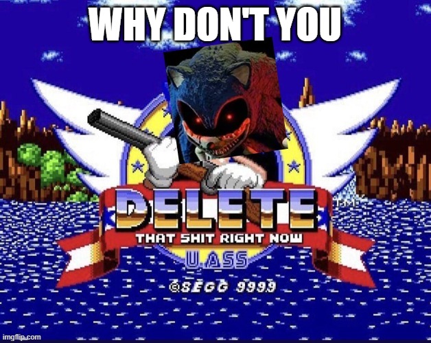Why don't you delete that shit right now! (definitely NSFW) | WHY DON'T YOU | image tagged in 2011x want's you do delete that shit now | made w/ Imgflip meme maker