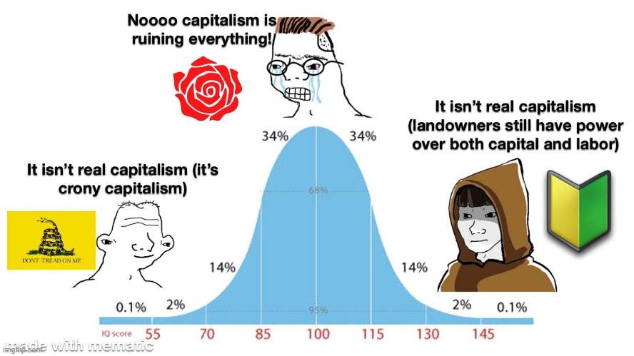 image tagged in capitalism,bell curve,wojak,socialism,libertarian | made w/ Imgflip meme maker
