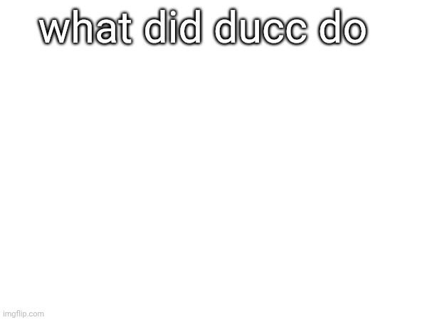 what did ducc do | made w/ Imgflip meme maker