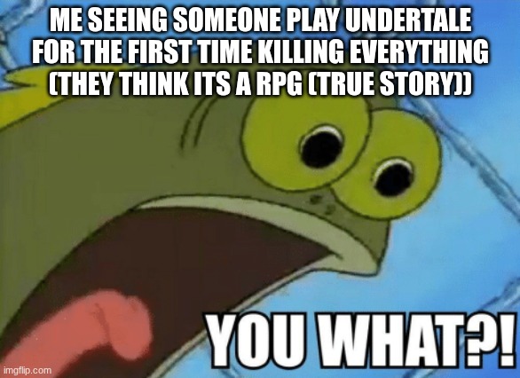 YOU WHAT! | ME SEEING SOMEONE PLAY UNDERTALE FOR THE FIRST TIME KILLING EVERYTHING (THEY THINK ITS A RPG (TRUE STORY)) | image tagged in you what | made w/ Imgflip meme maker