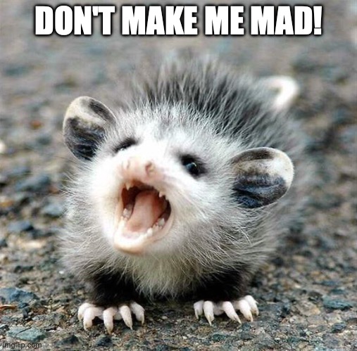 don't make me mad! | DON'T MAKE ME MAD! | image tagged in aaaaahhhhh baby opossum | made w/ Imgflip meme maker