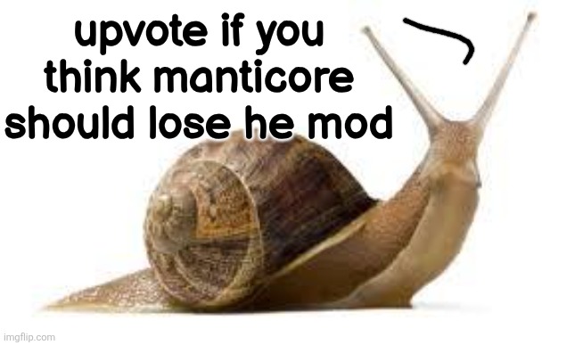 SNAIL | upvote if you
think manticore
should lose he mod | image tagged in snail | made w/ Imgflip meme maker