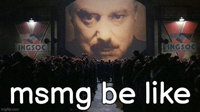 1984 | msmg be like | image tagged in 1984 | made w/ Imgflip meme maker