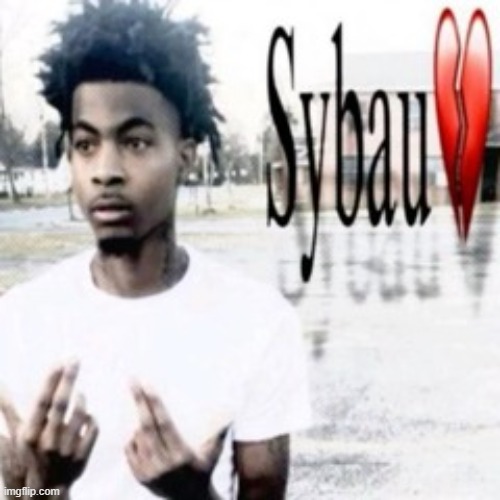 Sybau | image tagged in sybau | made w/ Imgflip meme maker