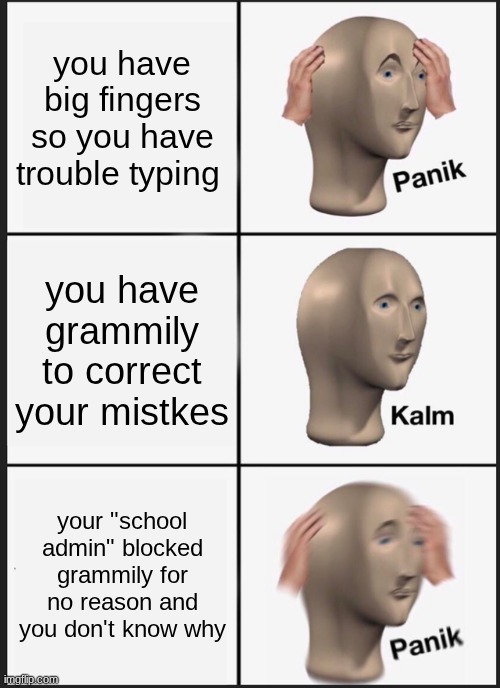 help | you have big fingers so you have trouble typing; you have grammily to correct your mistkes; your "school admin" blocked grammily for no reason and you don't know why | image tagged in memes,panik kalm panik | made w/ Imgflip meme maker
