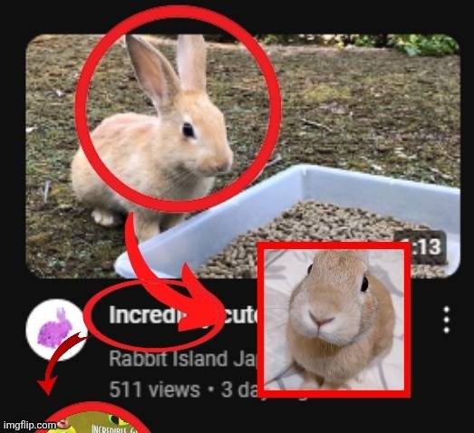 The | image tagged in the | made w/ Imgflip meme maker