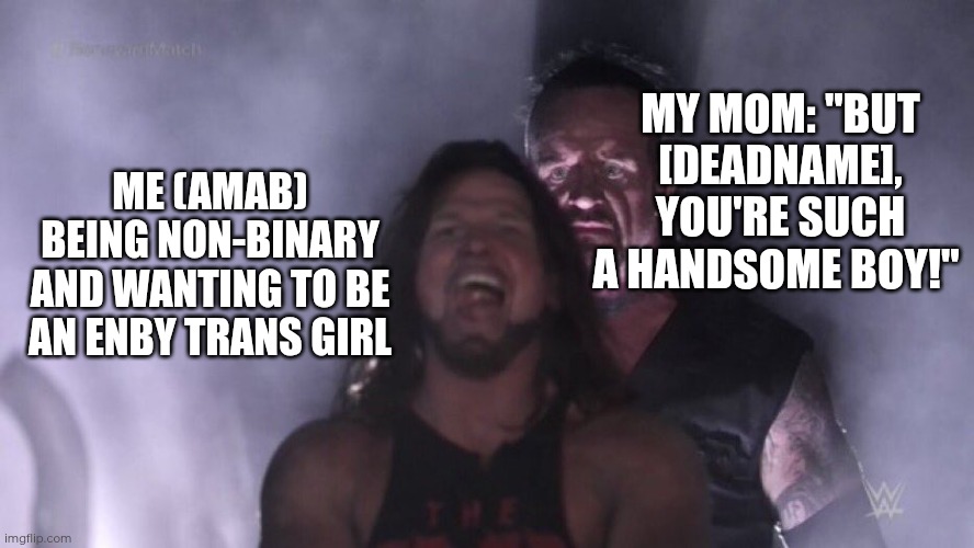 It's not about being a handsome guy, it's about being myself, it's about being comfortable with myself | MY MOM: "BUT [DEADNAME], YOU'RE SUCH A HANDSOME BOY!"; ME (AMAB) BEING NON-BINARY AND WANTING TO BE AN ENBY TRANS GIRL | image tagged in aj styles undertaker,non-binary,transgender,gender identity,venting | made w/ Imgflip meme maker