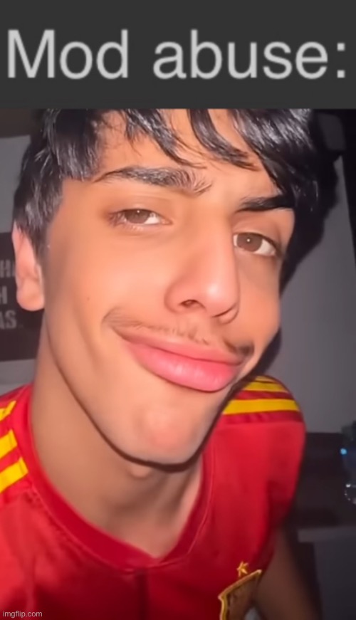 Mod Abuse | image tagged in mod abuse | made w/ Imgflip meme maker