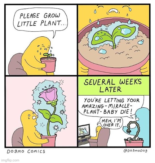 Baby plant | image tagged in plants,plant,baby,comics,comics/cartoons,growth | made w/ Imgflip meme maker