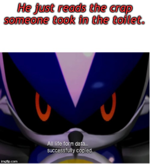 Neo Metal Sonic: All life form data... succussfully copied | He just reads the crap someone took in the toilet. | image tagged in neo metal sonic all life form data succussfully copied | made w/ Imgflip meme maker