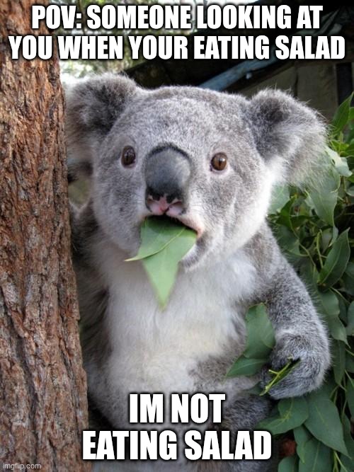 Is it true for you to? | POV: SOMEONE LOOKING AT YOU WHEN YOUR EATING SALAD; IM NOT EATING SALAD | image tagged in funny,salad | made w/ Imgflip meme maker