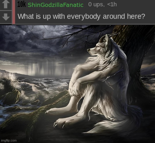 image tagged in lone wolf sitting tree | made w/ Imgflip meme maker