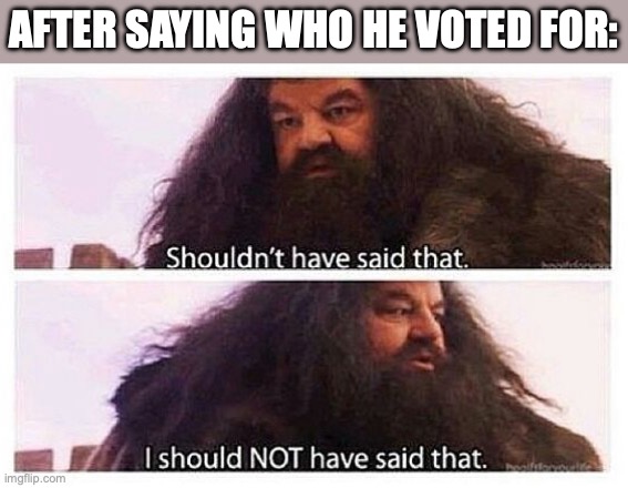 Hagrid shouldn't have said that | AFTER SAYING WHO HE VOTED FOR: | image tagged in hagrid shouldn't have said that | made w/ Imgflip meme maker