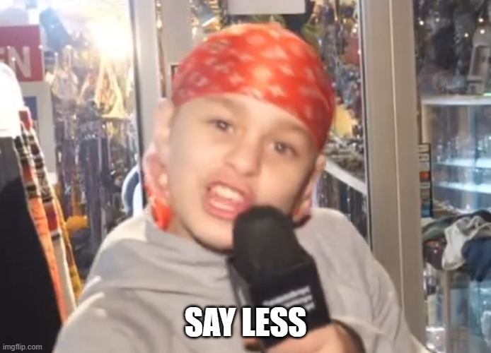 Say Less | SAY LESS | image tagged in say less | made w/ Imgflip meme maker