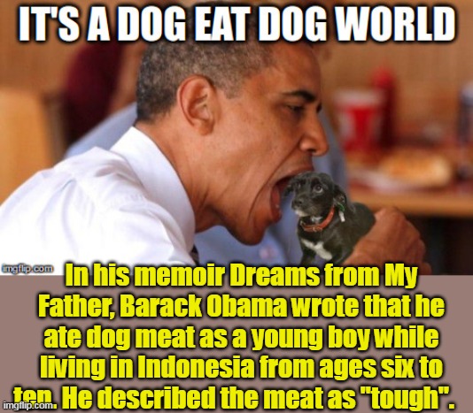 In his memoir Dreams from My Father, Barack Obama wrote that he ate dog meat as a young boy while living in Indonesia from ages six to ten.  | made w/ Imgflip meme maker