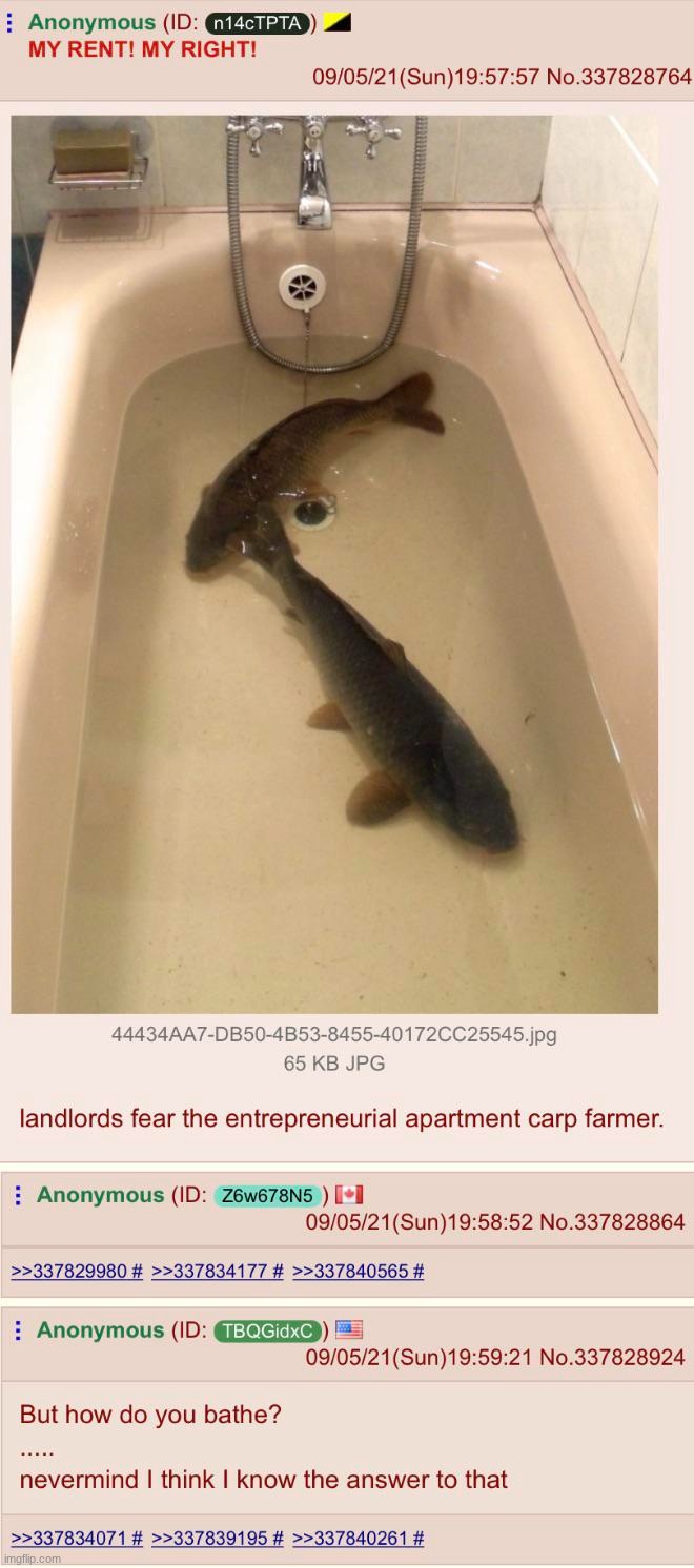 anything but employment | made w/ Imgflip meme maker