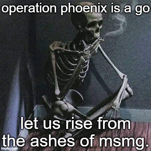 we will rebuild. | operation phoenix is a go; let us rise from the ashes of msmg. | image tagged in skeleton smoke | made w/ Imgflip meme maker
