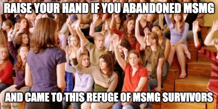 REBUILD MSMG | RAISE YOUR HAND IF YOU ABANDONED MSMG; AND CAME TO THIS REFUGE OF MSMG SURVIVORS | image tagged in raise your hand if you have ever been personally victimized by r | made w/ Imgflip meme maker