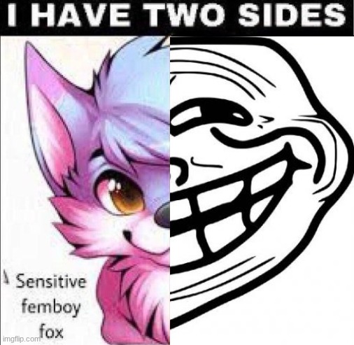 I have two sides | image tagged in i have two sides | made w/ Imgflip meme maker
